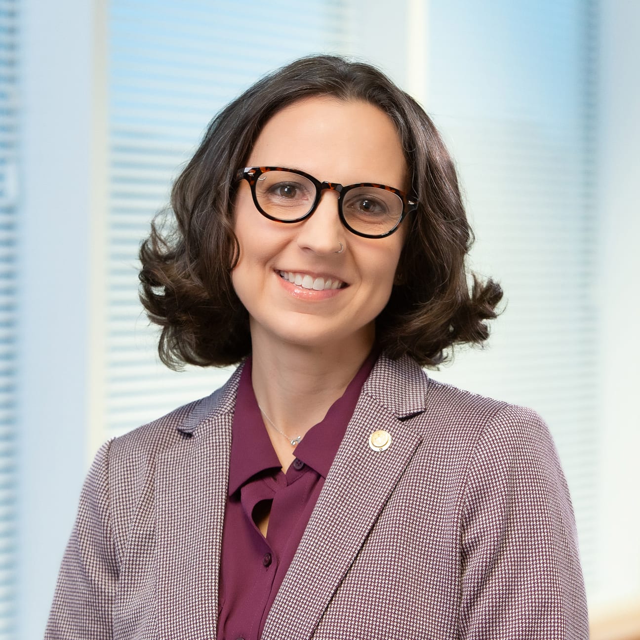 Image of Sarah C. Nosal, MD, FAAFP President-Elect of the AAFP.