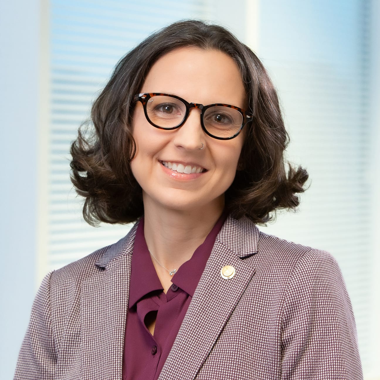 Image of Sarah C. Nosal, MD, FAAFP, President-Elect, AAFP.