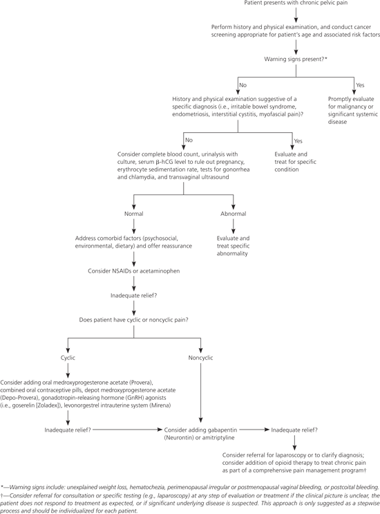 Orchalgia Algorithm Chronic Pelvic Pain in Women | AFP