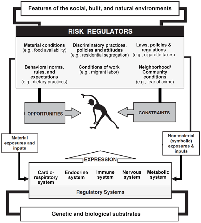Illustration of Risk Regulators in Social and Biological Context