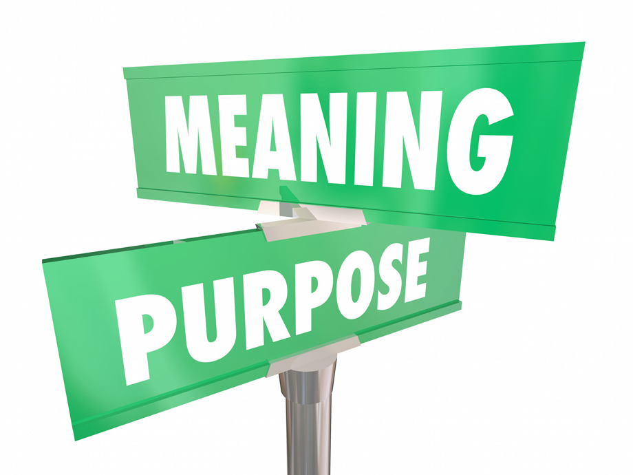 Meaning Purpose Road Street Signs Words 3d Illustration