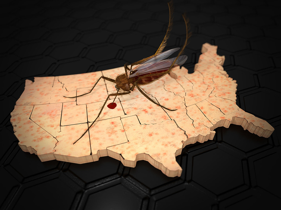 mosquito illustration superimposed on map of U.S.