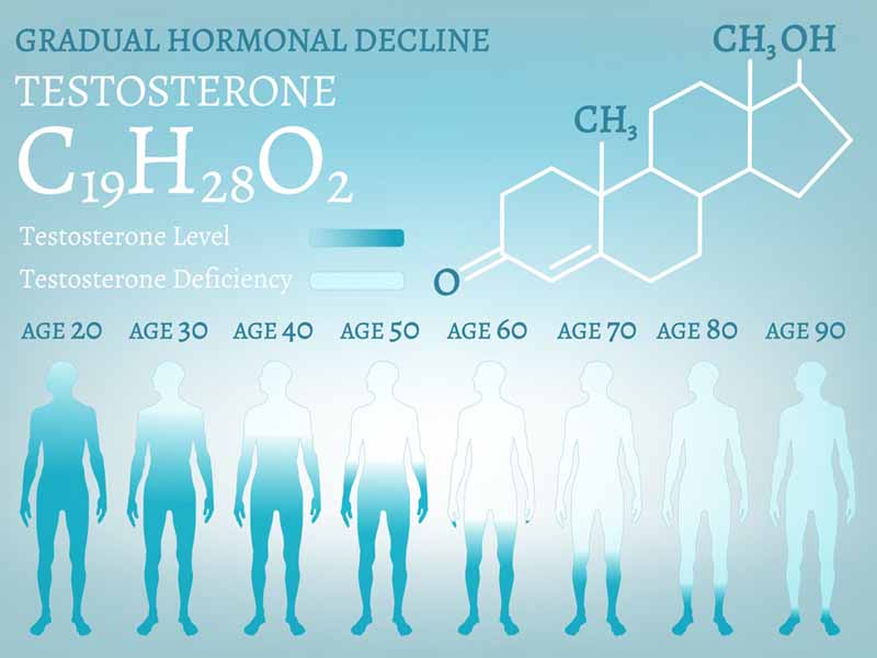 Testosterone Hormone Level. Beautiful medical vector illustration with molecular formula in blue colours. Scientific, educational and popular-scientific concept. Usieful medical infographic.