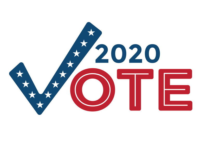 vote 2020 icon