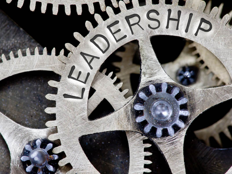 leadership on metal gears