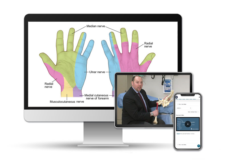 Musculoskeletal Examination Edition 3 education on multiple screens