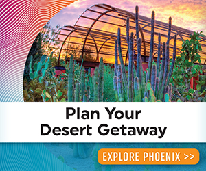 Plan Your Desert Getaway FMX Graphic