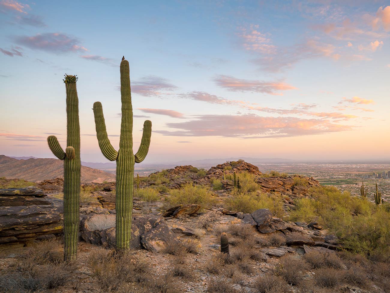 A desert landscape near Phoenix