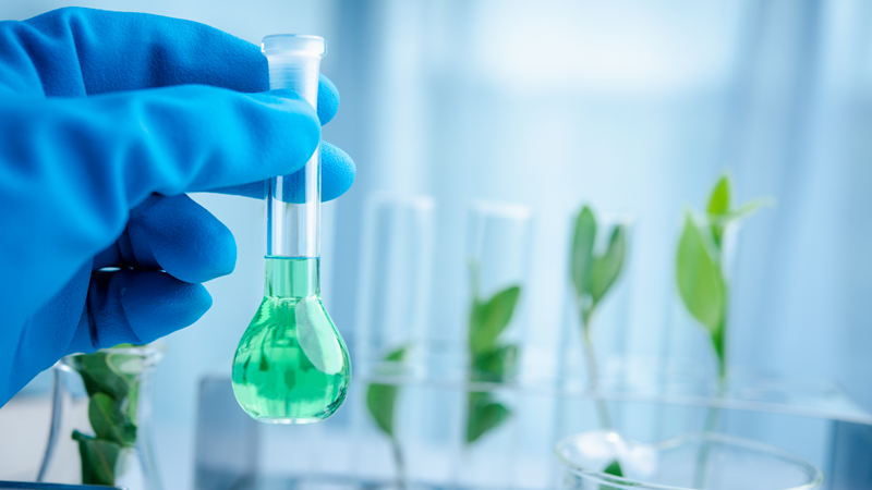 hand holding test tube