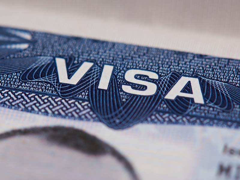 visa label and header