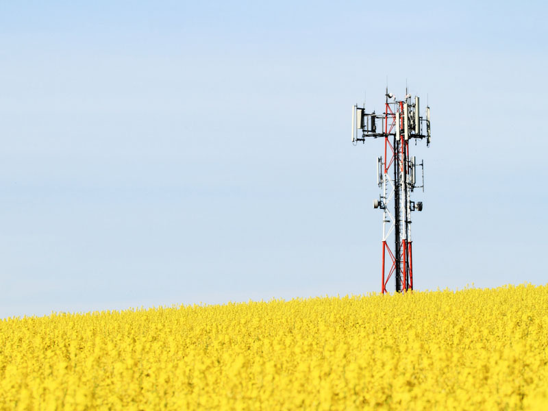 cell phone tower in field