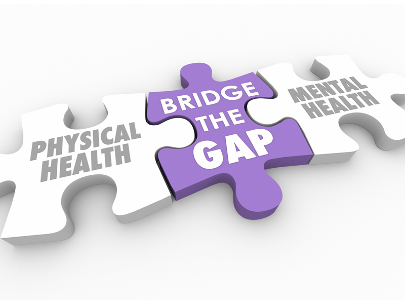 "Bridge the gap" puzzle piece linking puzzle pieces reading "physical health" and "mental health"
