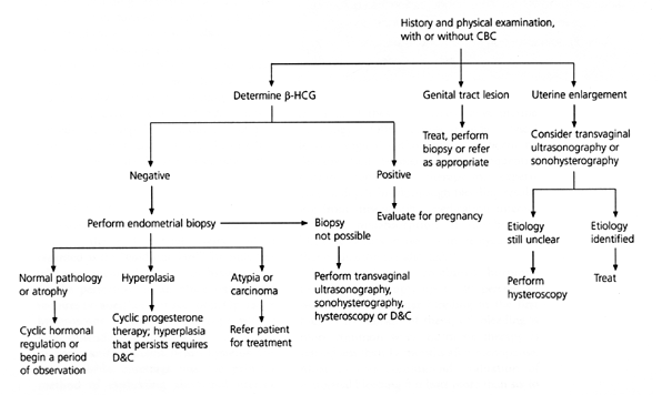 Abnormal Uterine Bleeding