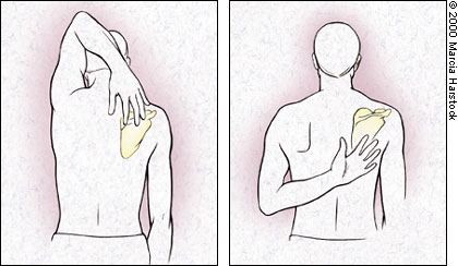 shoulder medial rotation