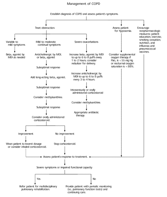 COPD Antibiotics Guidelines