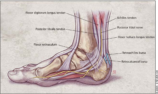 What Causes Heel Pain | Family Foot & Ankle