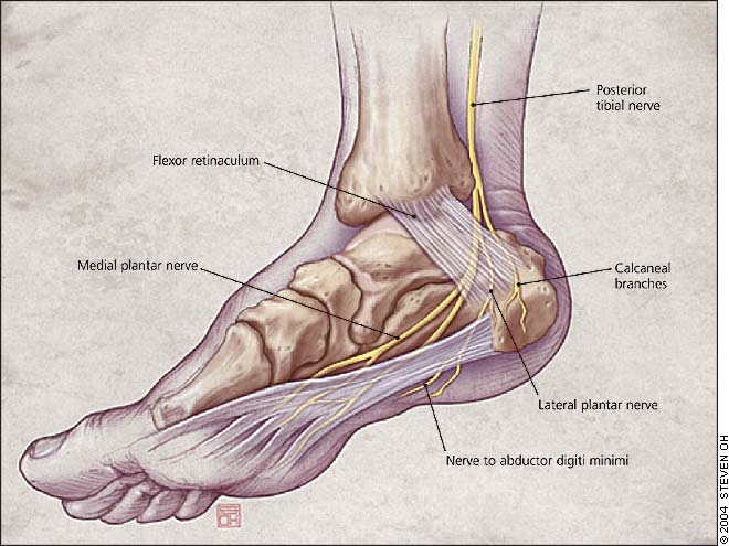 Why do you feel numbness and tingling after ankle surgery? - Evercore -  Move With a Strong, Healthy Body
