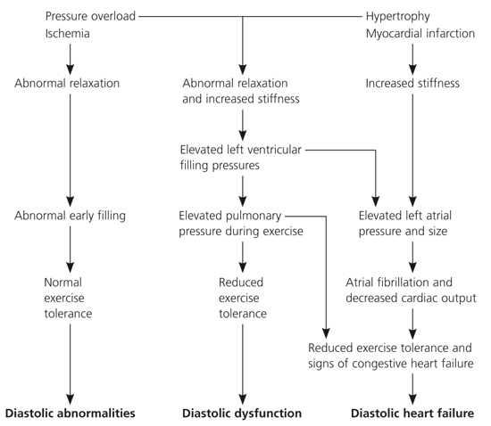 Diagnosis and Management of Diastolic Dysfunction and Heart Failure