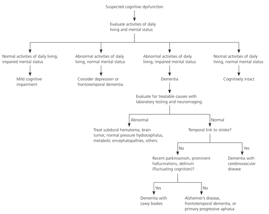 Dementia with Lewy Bodies: An Emerging Disease | AAFP