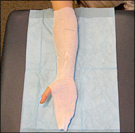 PLASTER CAST definition in American English
