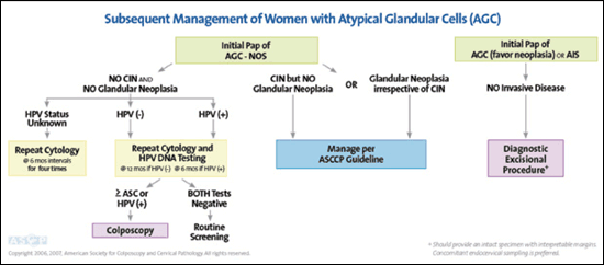 Pap Smear Abnormal Result