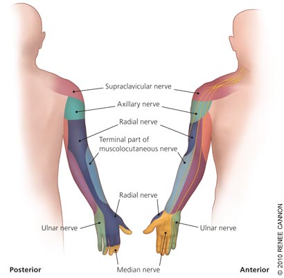 pinched nerve numbness in arm