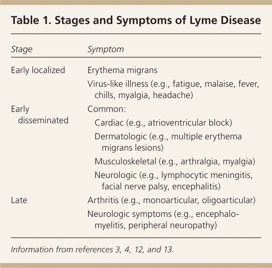 Lyme Disease Symptoms And Stages