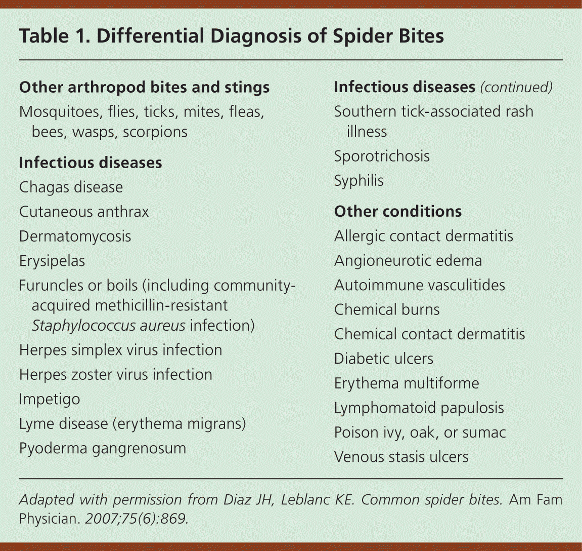 Spider Bite Identification, Symptoms, Treatment