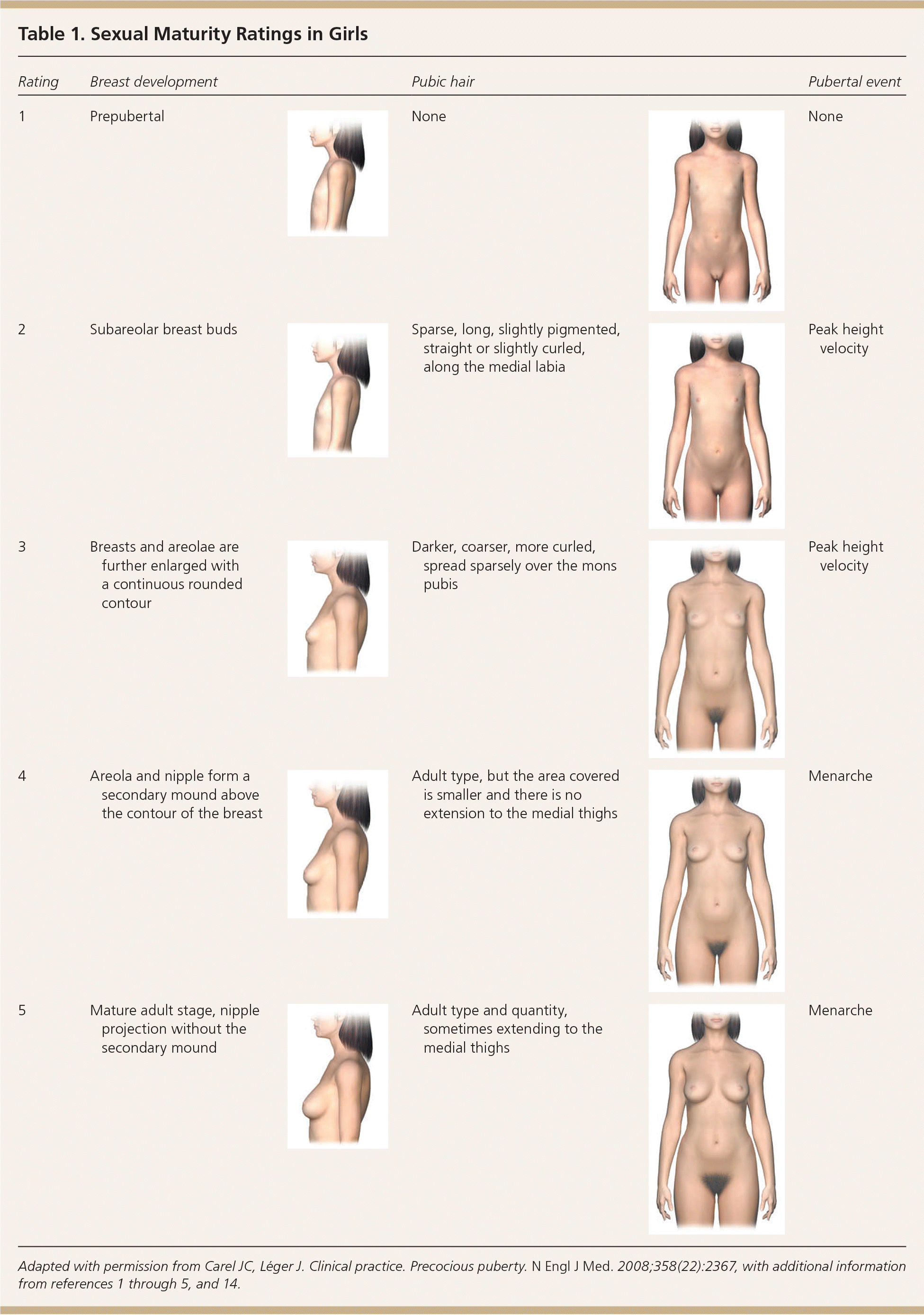 puberty girls stages chart