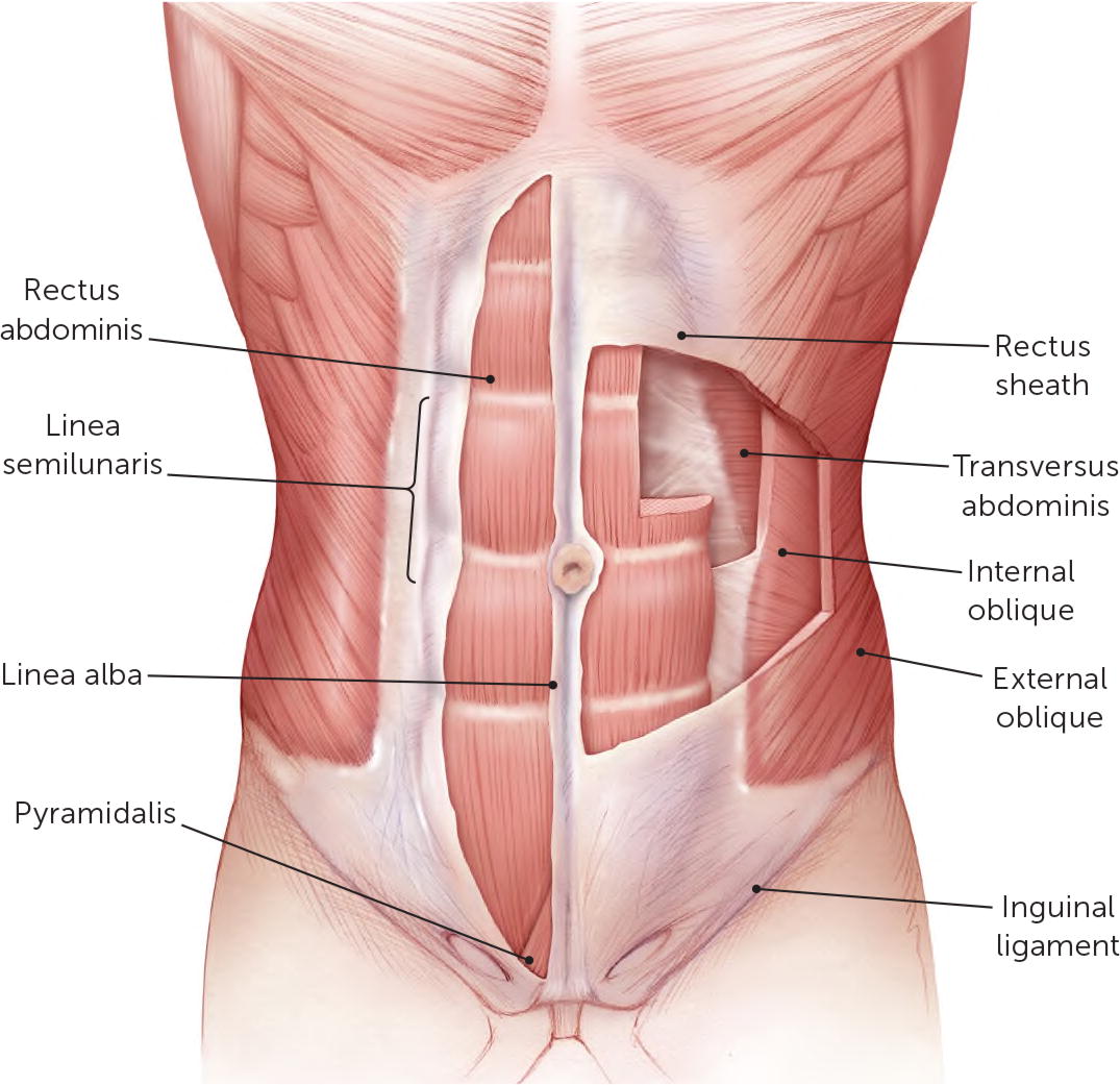 Abdominal Wall Pain: Clinical Evaluation, Differential Diagnosis