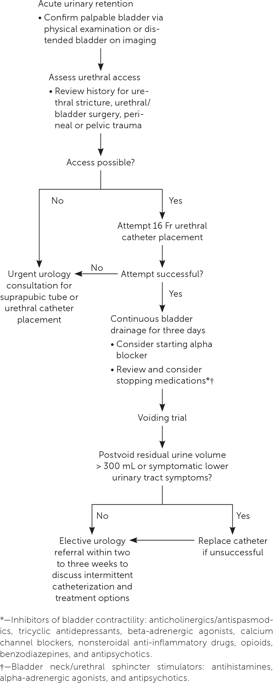 PDF) The risk factors of postpartum urinary retention after vaginal  delivery: A systematic review