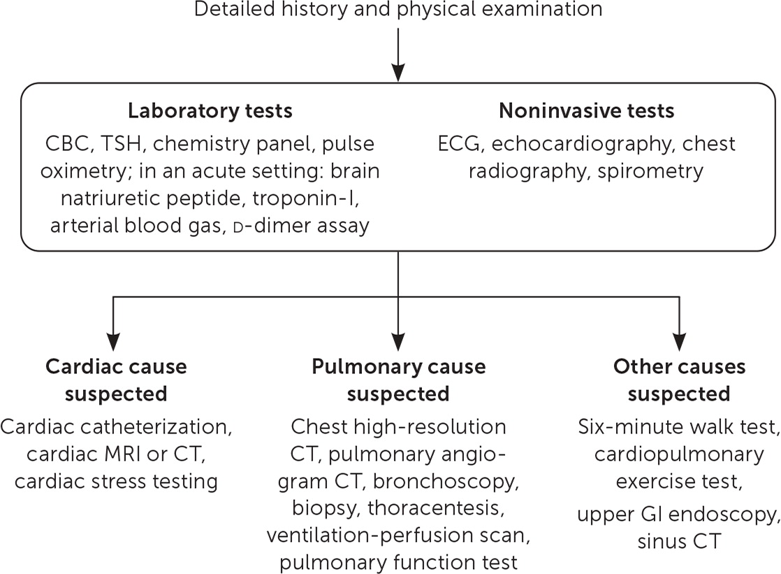 Understanding Dyspnea: Causes, Diagnosis, and Management