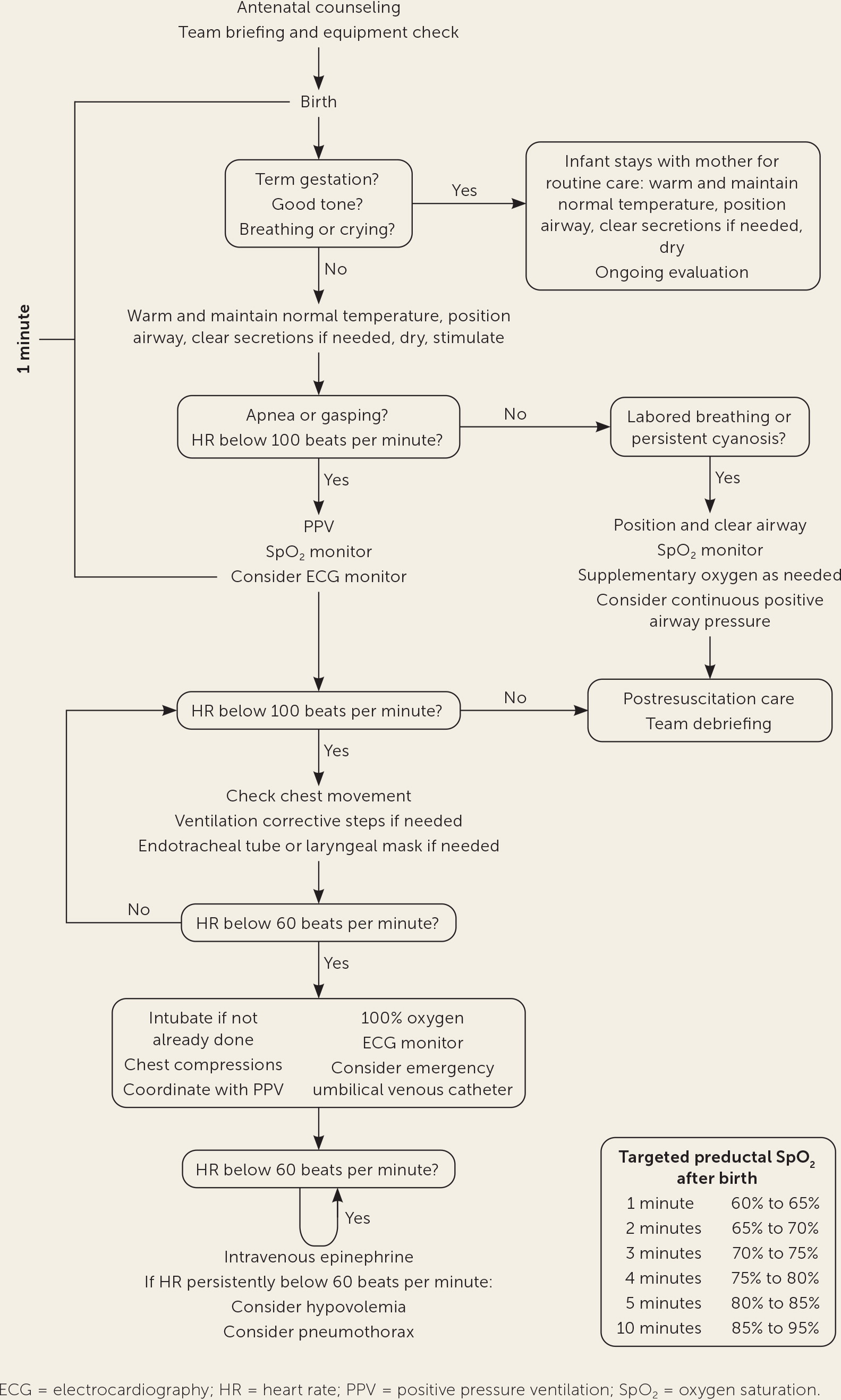 Neonatal Resuscitation Updated Guidelines From The American Heart